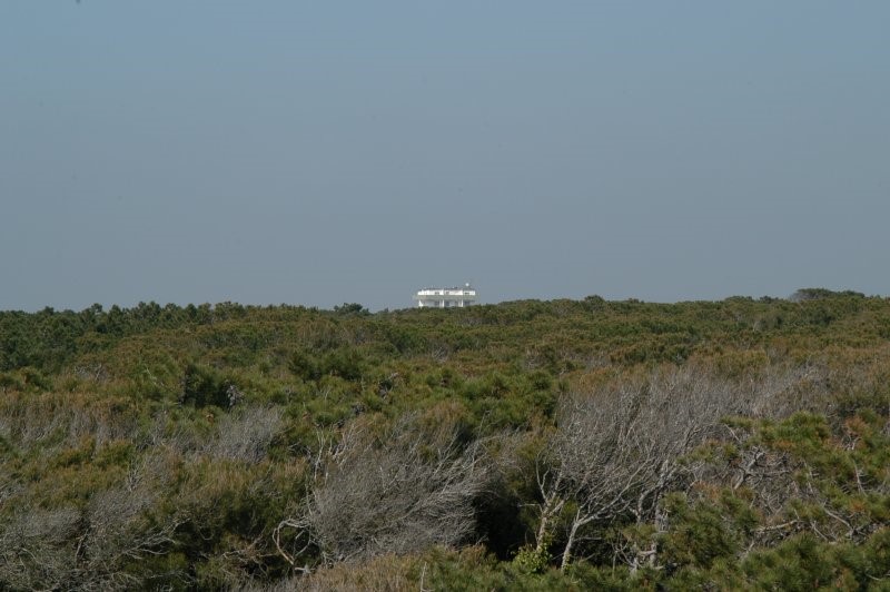 BIBBONA CAMPAGNA
